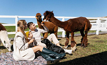 Туристическая фирма «Ариана»